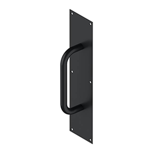 Deltana Pull Plate with Handle 4'' x 16'' S/S