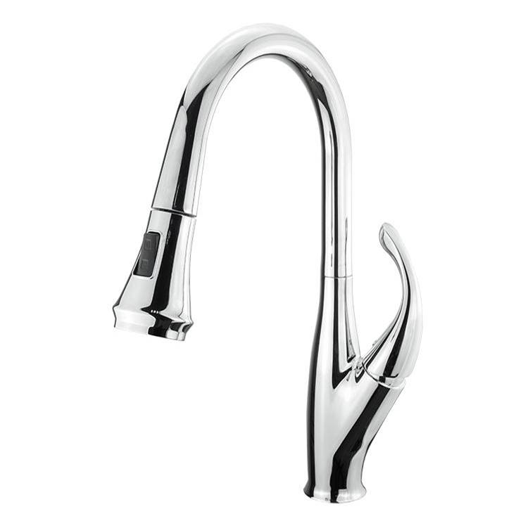 Lexora Garbatella Brass Kitchen Faucet w/ Pull Out Sprayer - Chrome