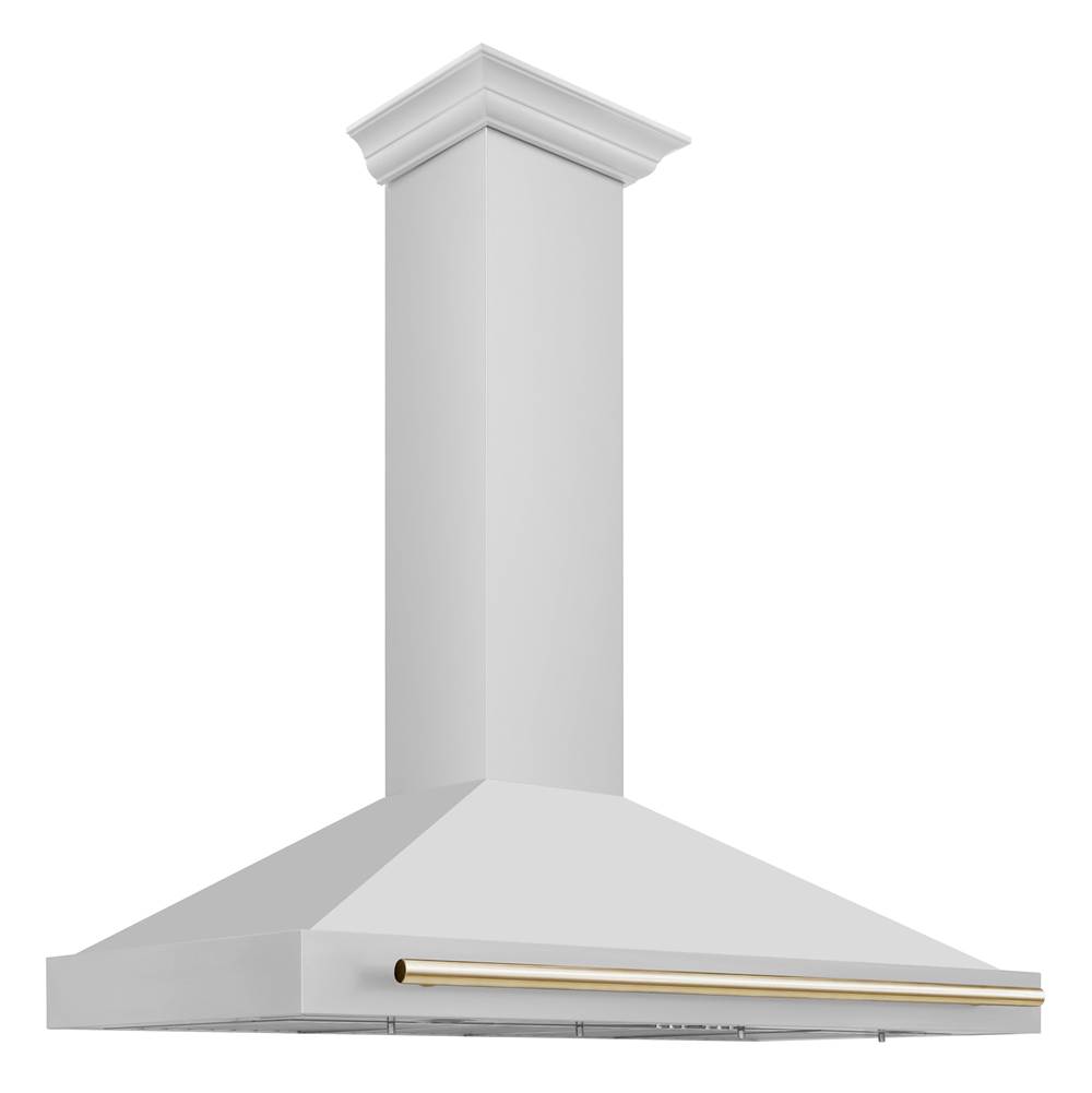Z-Line 48'' Autograph Edition Stainless Steel Range Hood with Stainless Steel Shell and Gold Accents